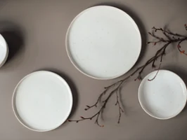Trois assiettes en céramique blanche et deux petits plats creux, artistiquement disposés avec de délicates branches sombres sur un fond beige.
