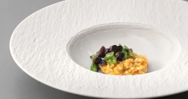 Manufacture pasta plate Manufacture pasta plate with food on it on a grey table.