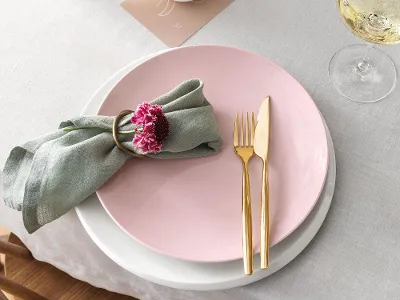 A table set with a pink Rose Garden plate, a white NewMoon plate and golden MetroChic cutlery.