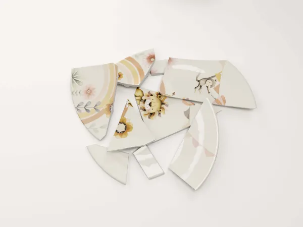 A broken Boho Kids plate A broken porcelain plate lies on a white background.