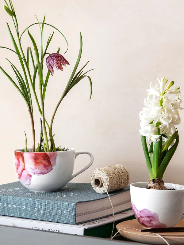 Two Rose Garden cups used as cute flowerpots on books.