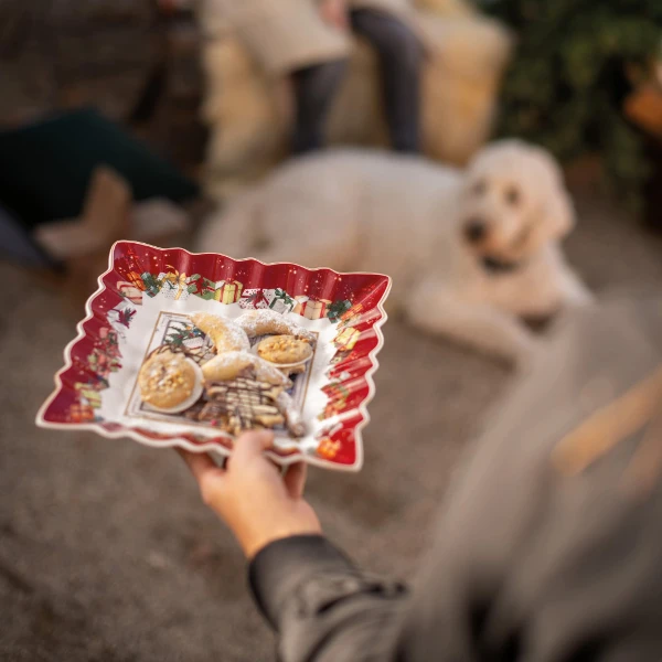 A person holding a Toy's Fantasy Square plate with a dog in the background A person holds a festive red plate with assorted cookies and pastries, while a person sits on a chair in the background, blurred, with a white dog lying nearby. Cozy, holiday atmosphere.