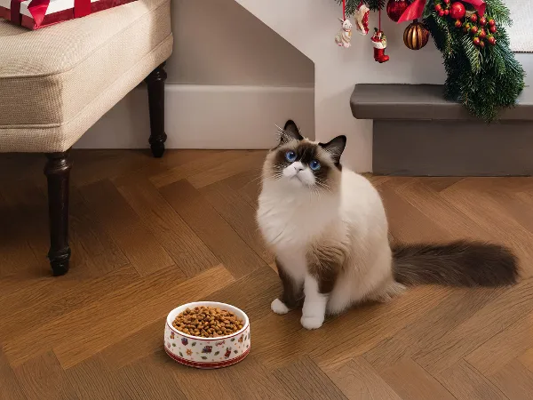 Small Pet Bowl – Toys Delight Collection Elegant ceramic bowl from the Villeroy & Boch Toys Delight collection, designed for small pets like cats or small dogs, featuring a festive white design with subtle relief details.