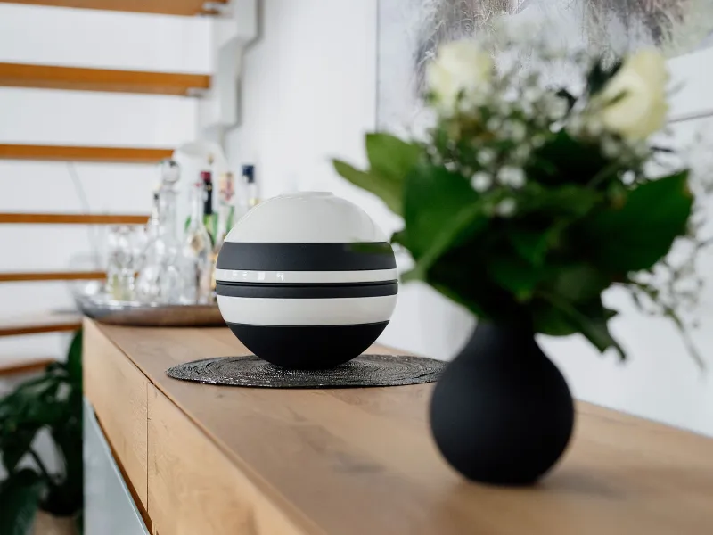 A black-and-white La Boule on a wooden shelf.